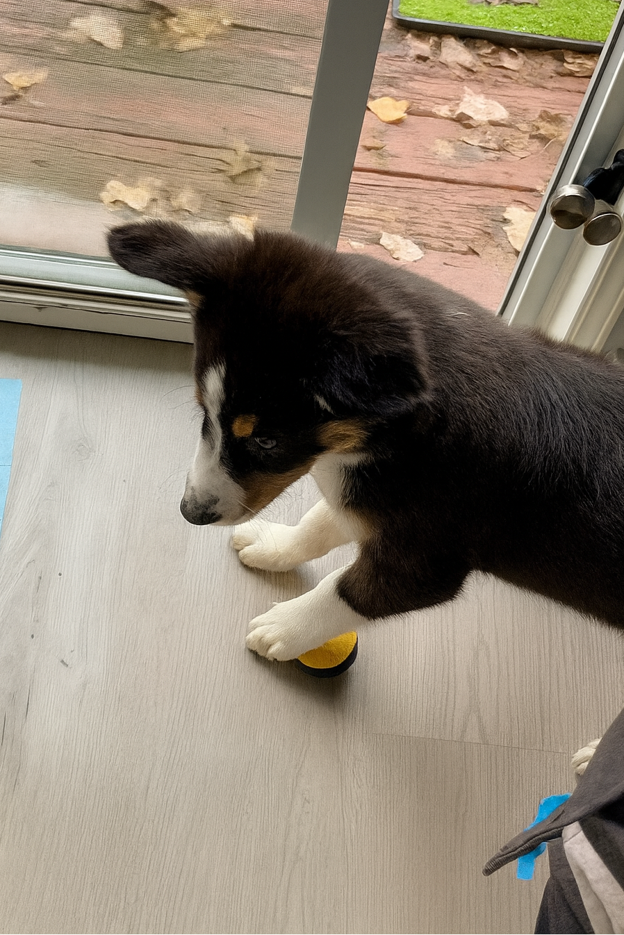 Nigga I Gotta Take A Piss Or Maybe A Shit - Potty Button